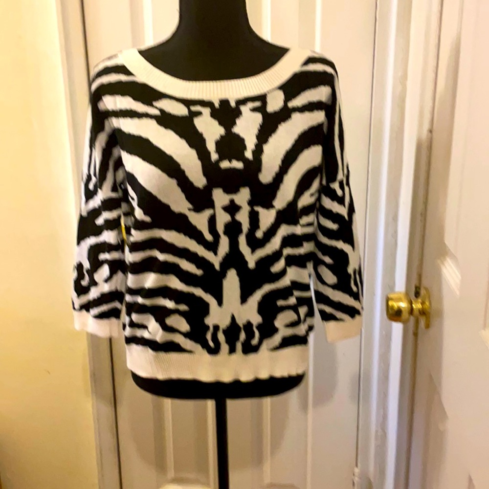 Express Sweater